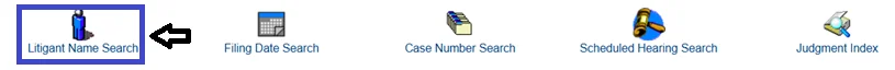 Choose Litigant Name Search