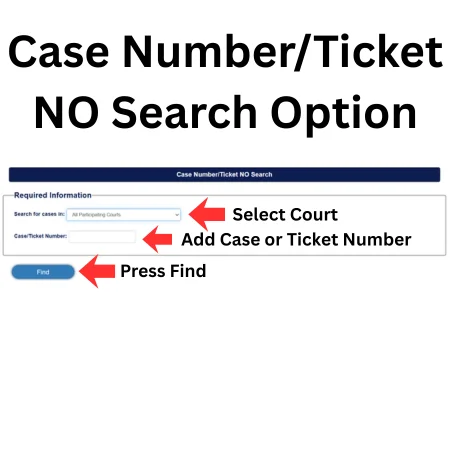 Case Number/Ticket NO Search Option