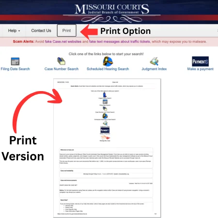 Print or Save a Case Record